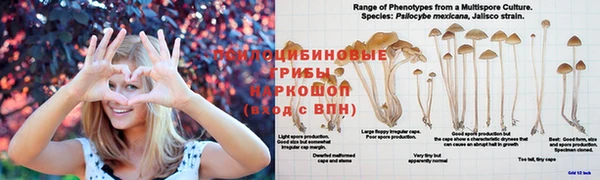 кокс Надым