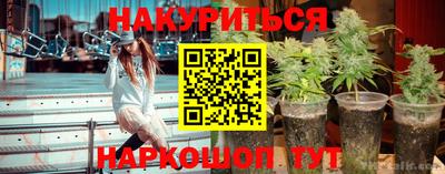 a pvp Гусь-Хрустальный