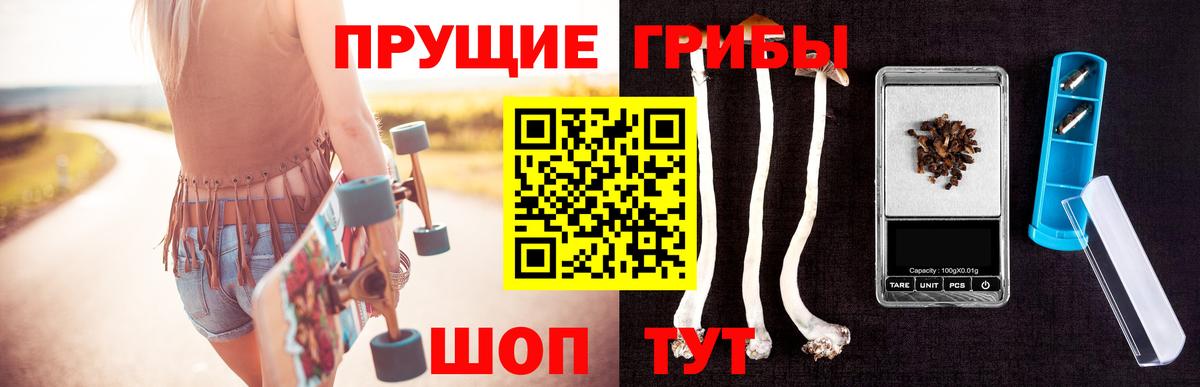 Псилоцибиновые грибы Magic Shrooms  Вход с VPN  Курчалой 