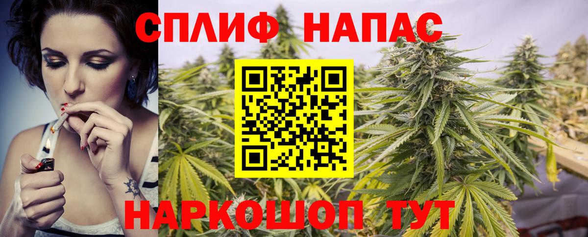 Шишки марихуана марихуана  Марихуана White Widow  Курчалой  Бошки Шишки индика  Вход с VPN  Конопля семена 